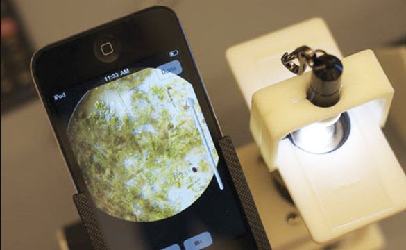 ابداع وسیله‌ای برای تبدیل گوشی هوشمند به میکروسکوپ